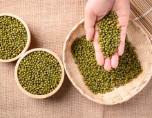 Thai Sang Mung Beans - High-quality Agricultural Product from Vietnam