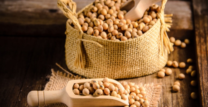 Thai Sang Soybean - High-quality Agricultural Product from Vietnam