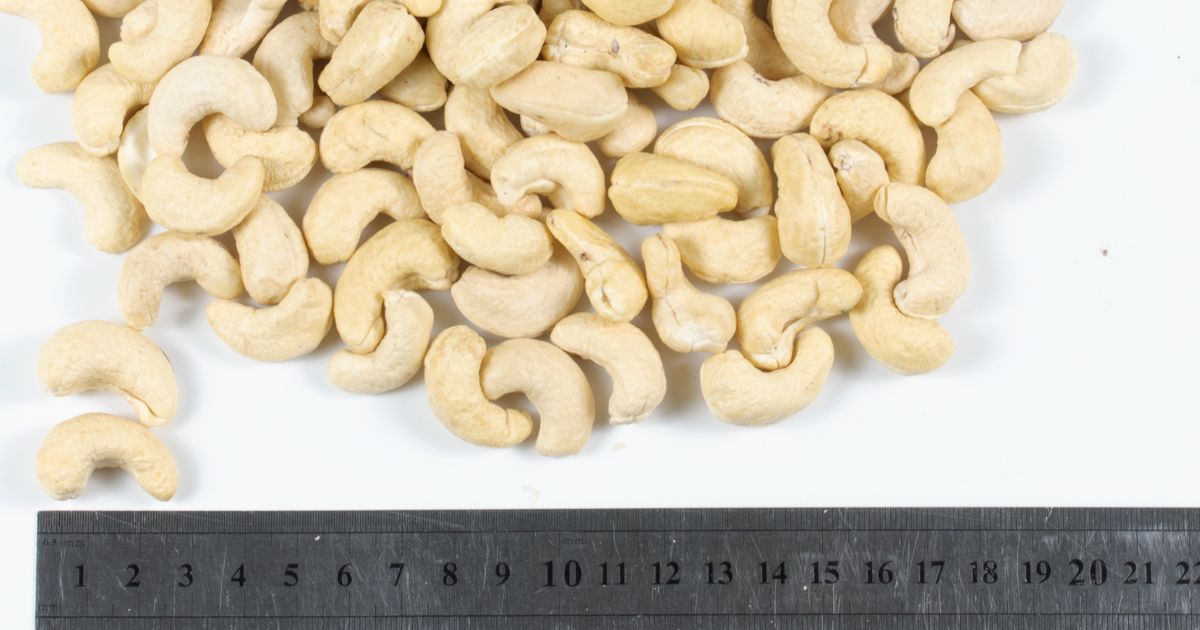  Thai Sang cashew nuts - A high-quality cashew nut supplier In Vietnam