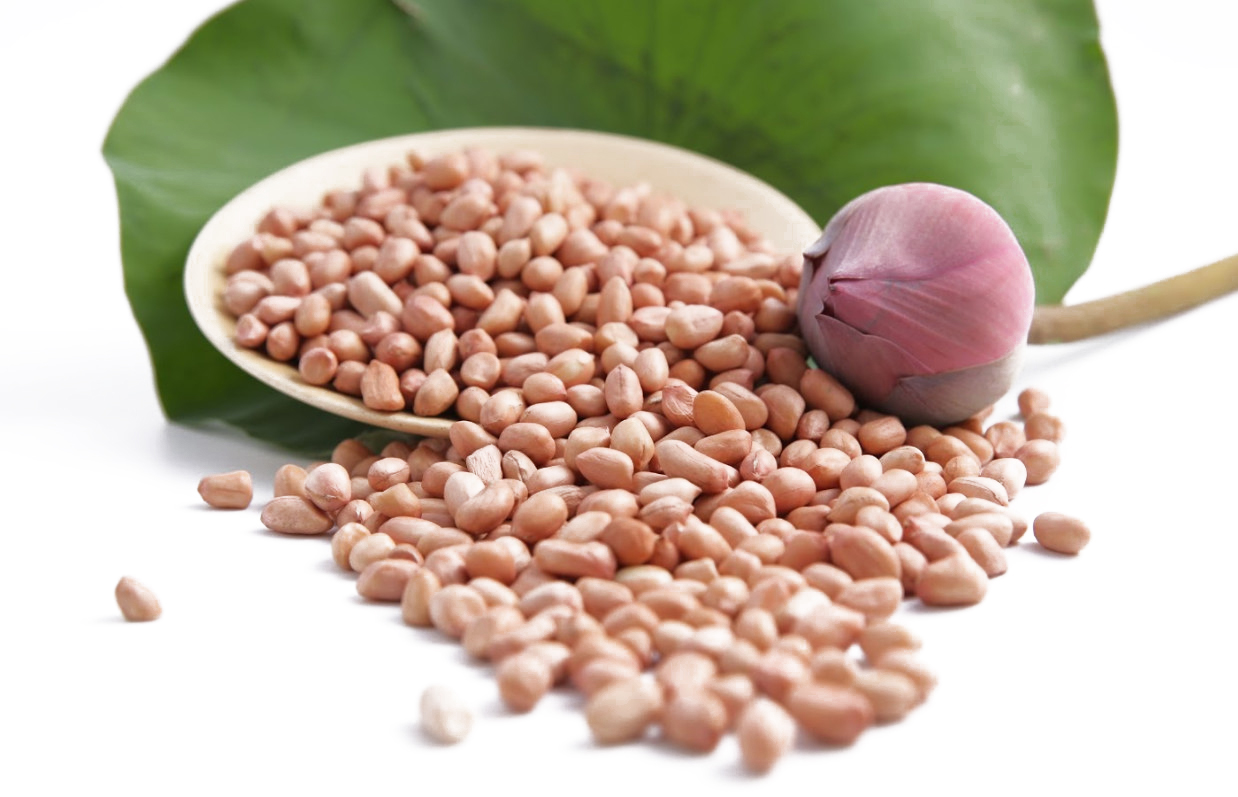 Thai Sang Trading Company sources only the highest quality Vietnamese Peanuts for our customers
