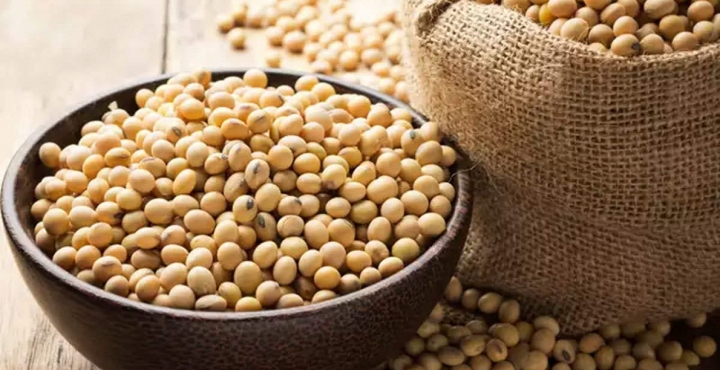 Thai Sang Soybean - High-quality Agricultural Product from Vietnam