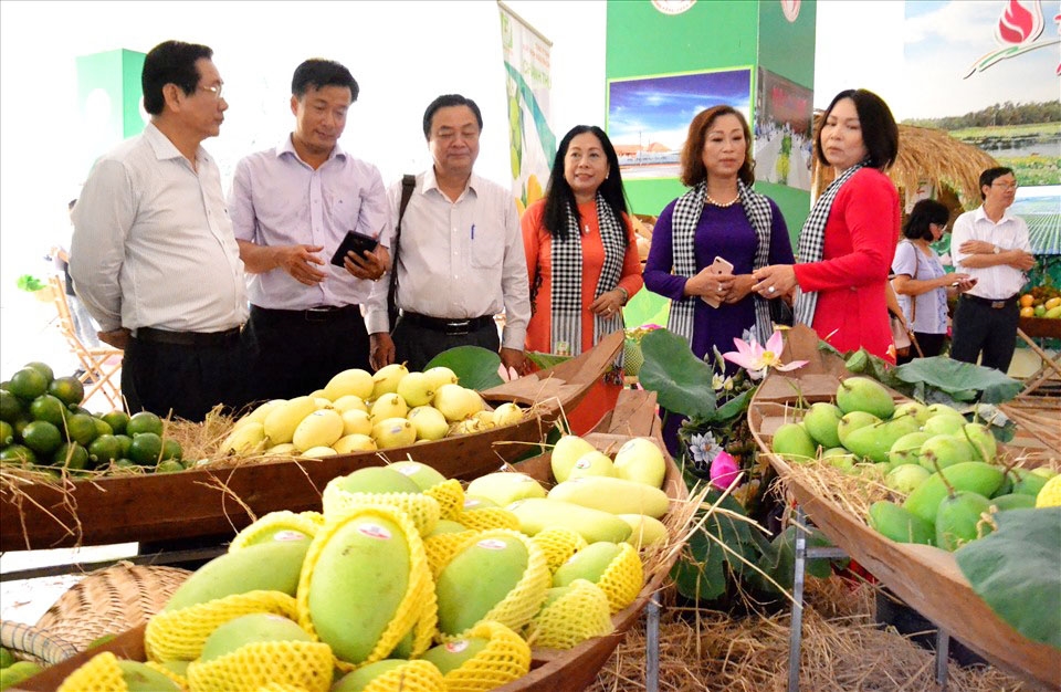 Ripe for the Picking: The Potential and Challenges of Vietnamese Mango Exports