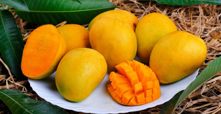 Thai Sang Mango - High-quality Agricultural Product from Vietnam