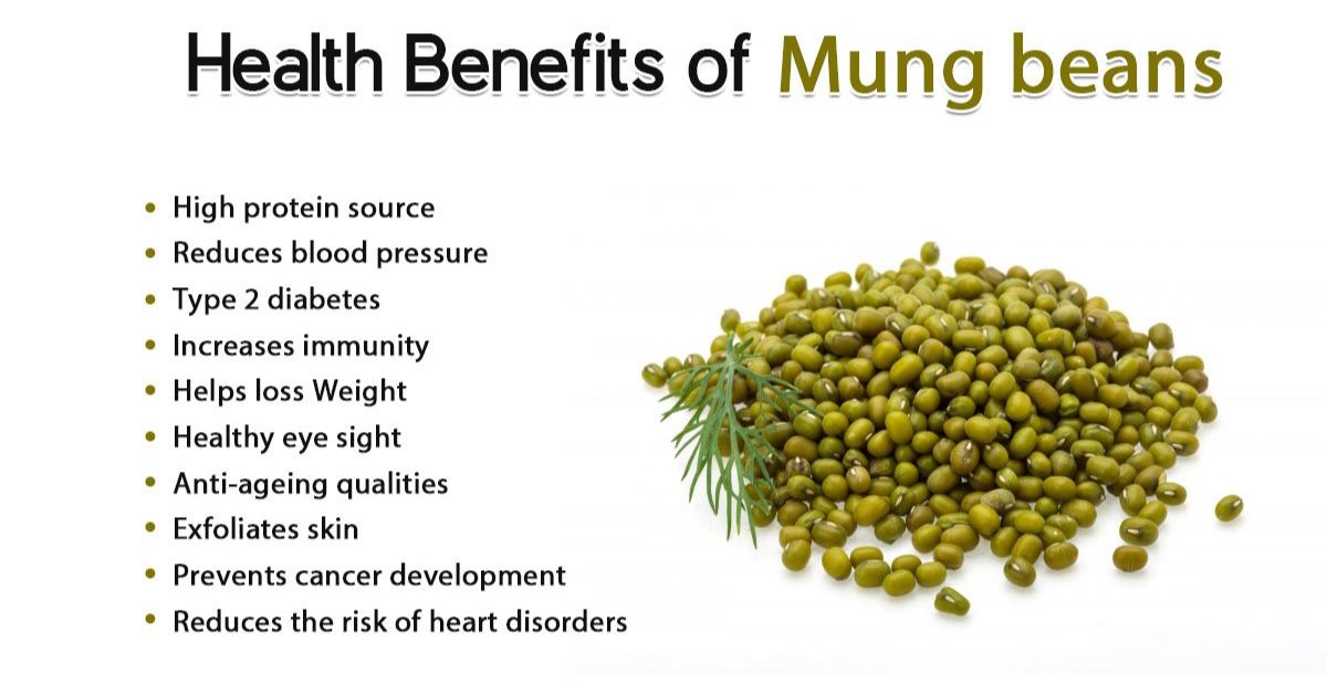 Thai Sang Mung Bean - A high-quality mung bean supplier In Vietnam.