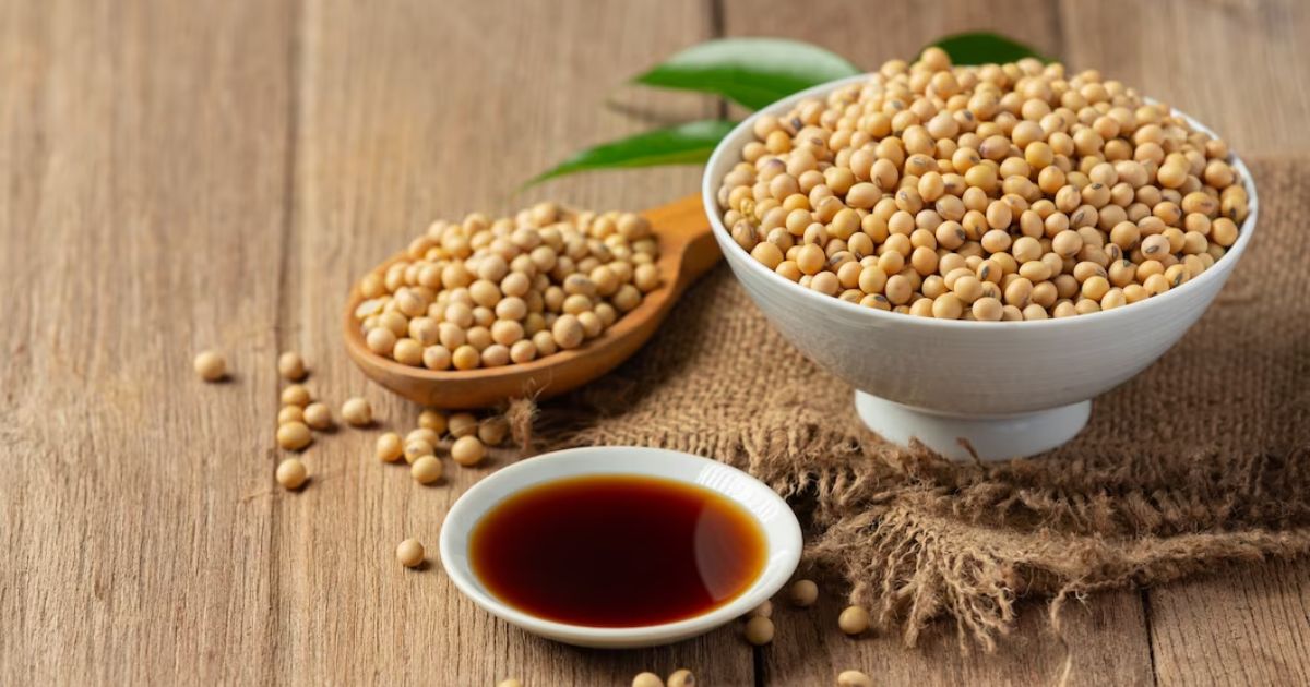  Thai Sang Soybean - A high-quality soybean supplier in Vietnam