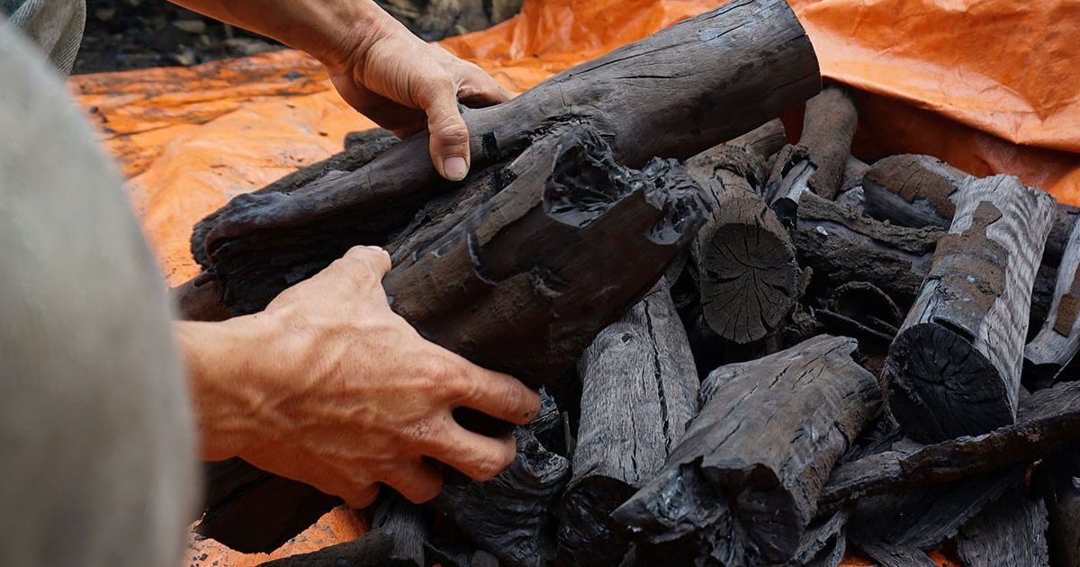 Thai Sang Charcoal - A high-quality charcoal supplier in Vietnam